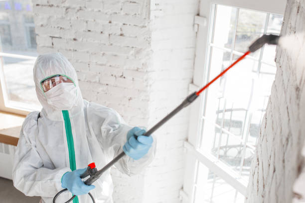 Mold Remediation for Vacation Homes in Columbus, GA